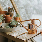 "The Rowley Ripple" - Copper Watering Can by Haws