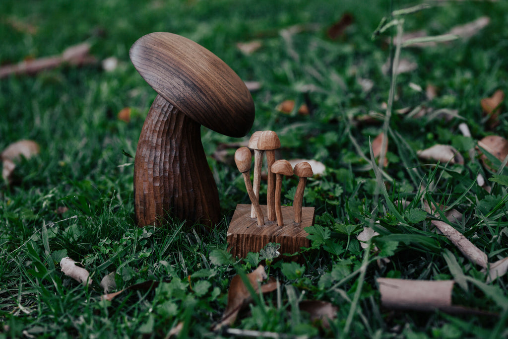 Hand Carved Wooden Mushrooms